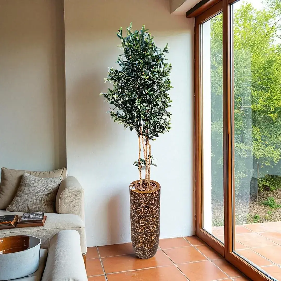 Plants & Trees