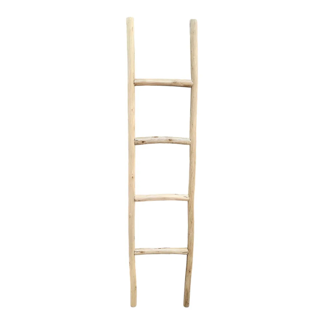 The Monsoon Caravan  Ladder