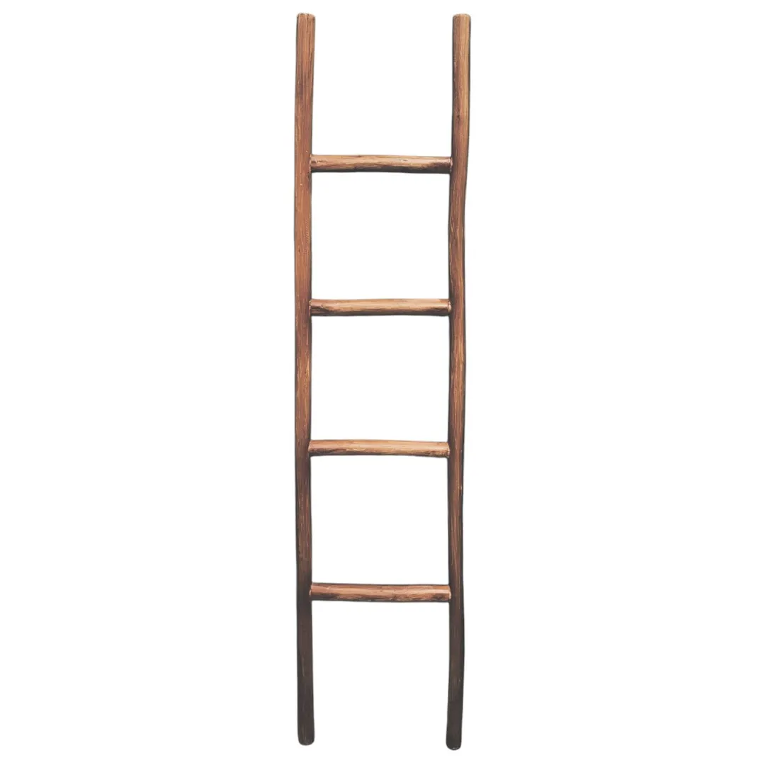 The Monsoon Caravan  Ladder