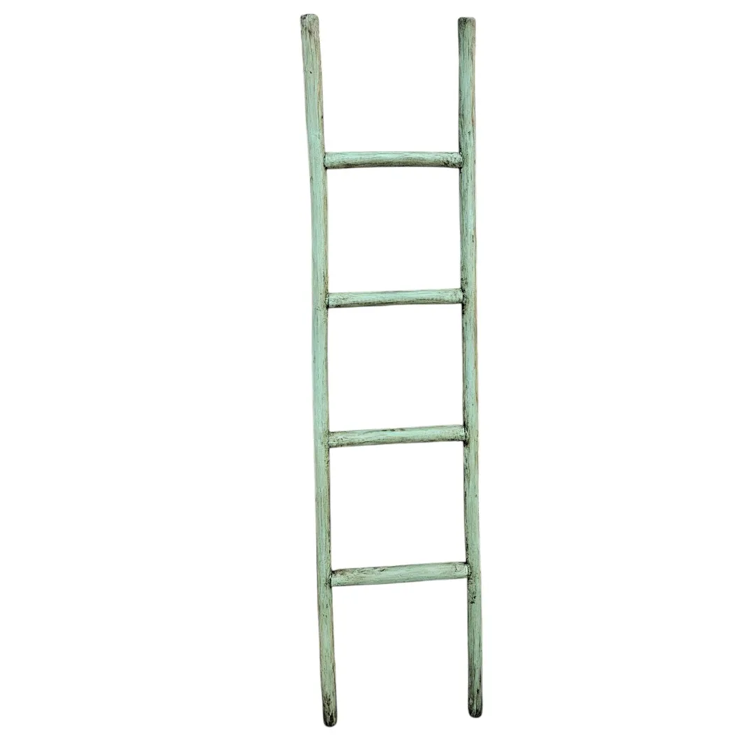 The Monsoon Caravan  Ladder