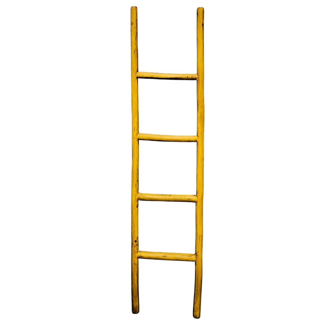The Monsoon Caravan  Ladder
