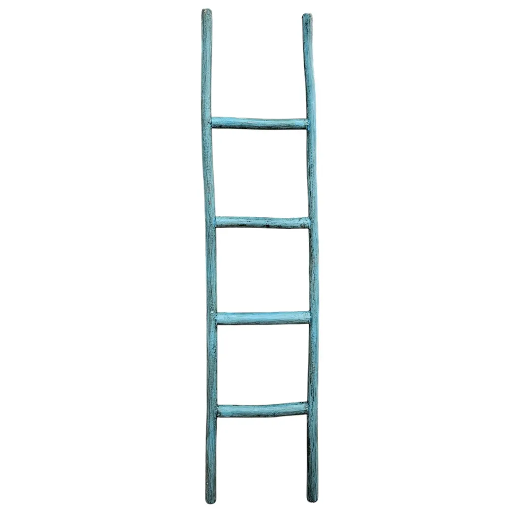 The Monsoon Caravan  Ladder